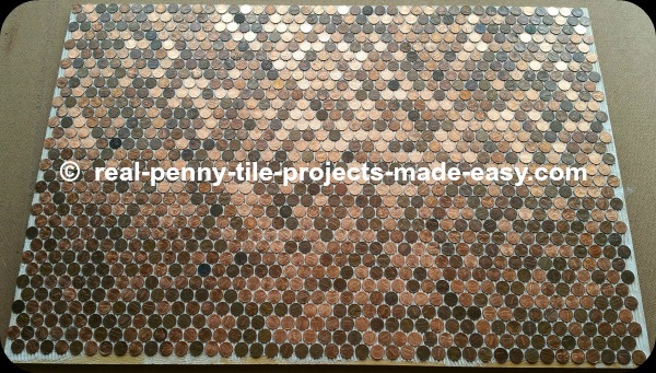 Six sheets of pennies as tile glued to floor about to be grouted.